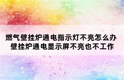 燃气壁挂炉通电指示灯不亮怎么办 壁挂炉通电显示屏不亮也不工作